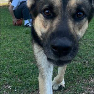 Meet your Posher, Evan